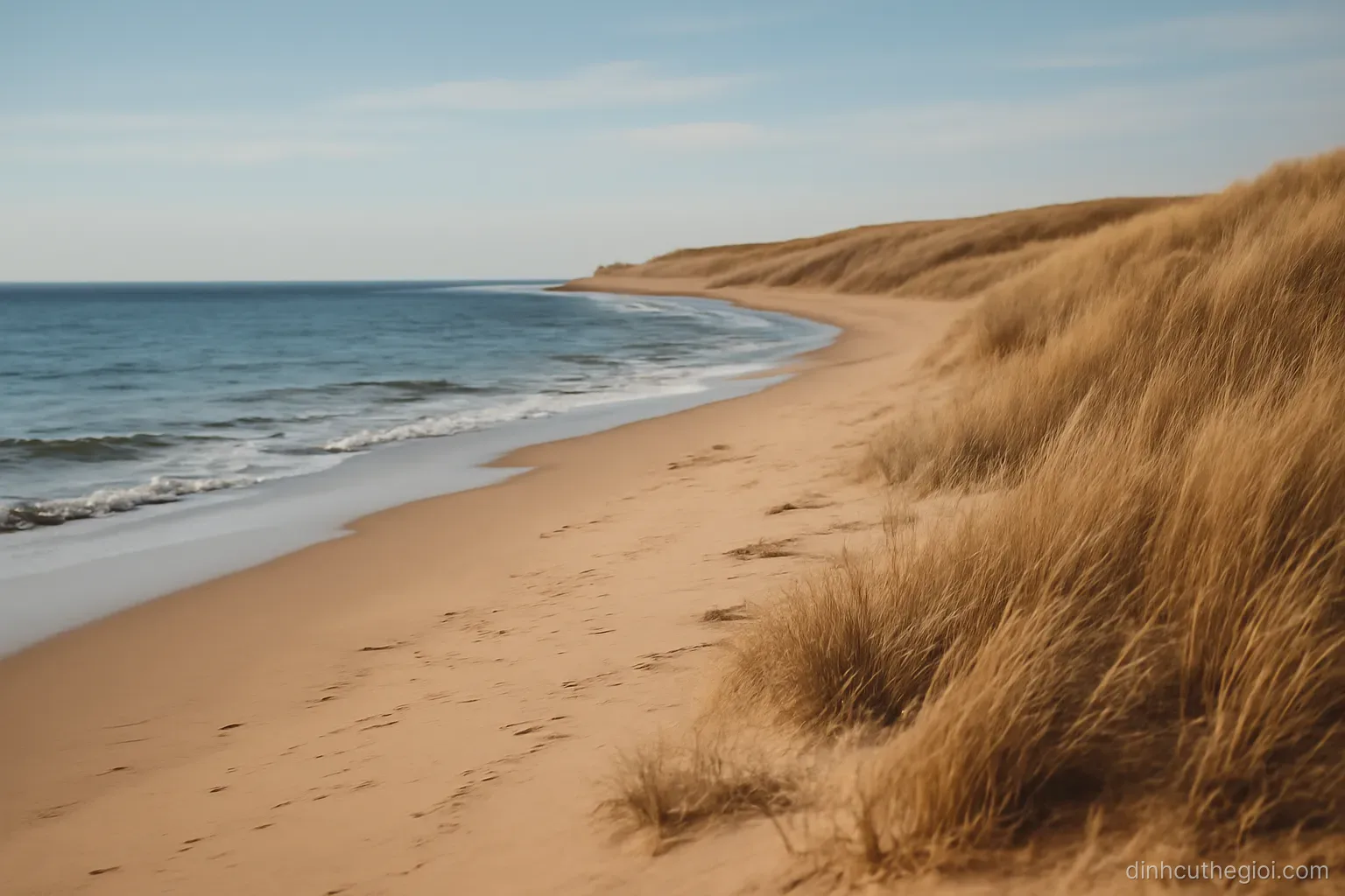 a long empty beach curving toward a headland with dry grass on the dunes and no buildings in sight
