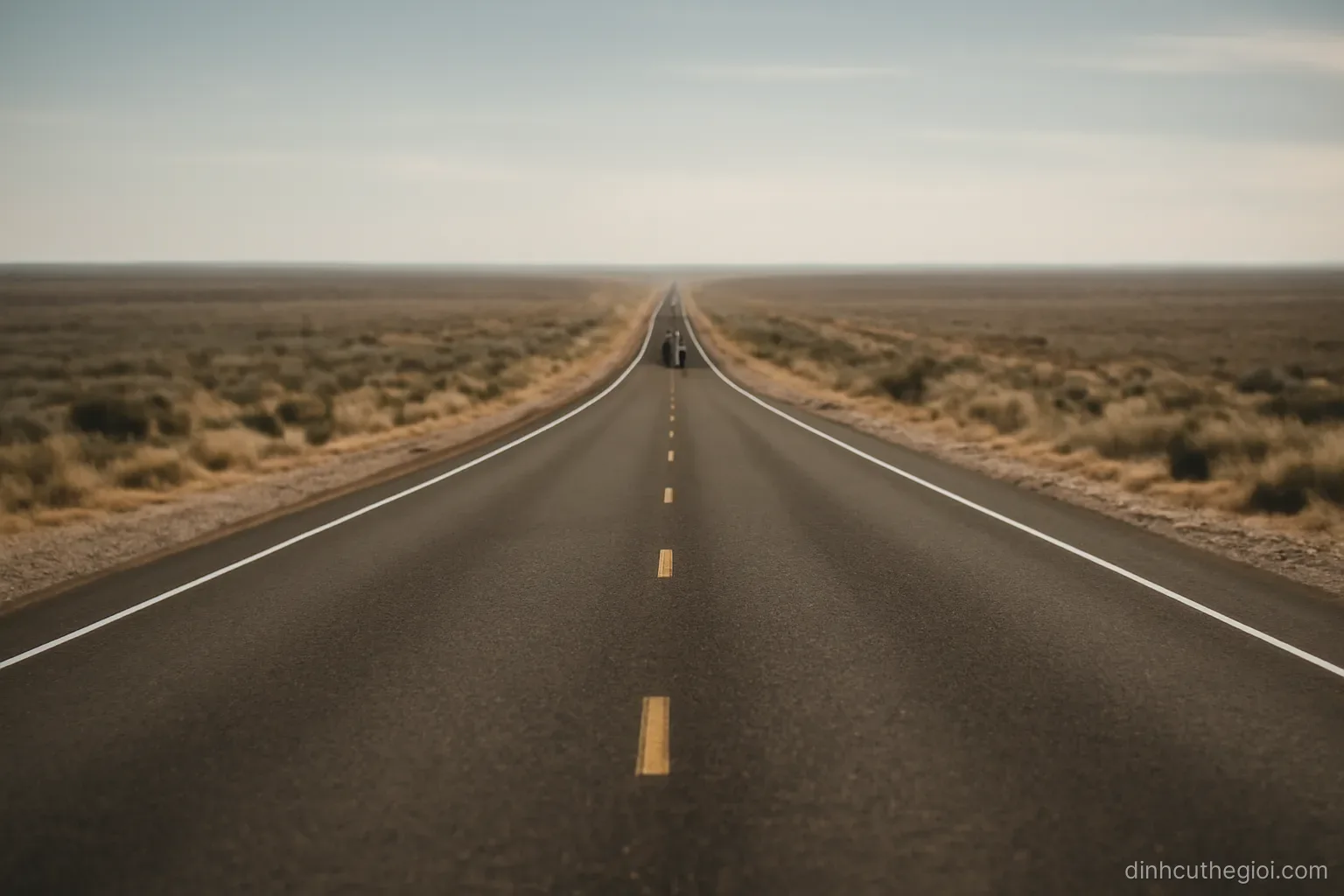 a straight road running to the horizon through flat dry scrubland with a single distant vehicle